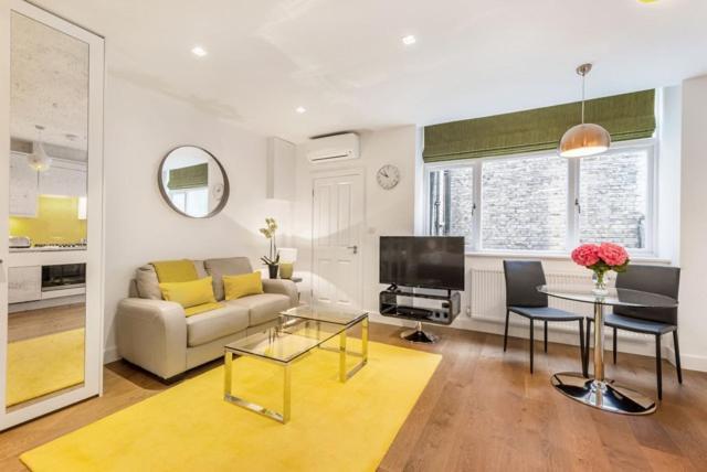 Marylebone - Crawford Street By Viridian Apartments London Kültér fotó